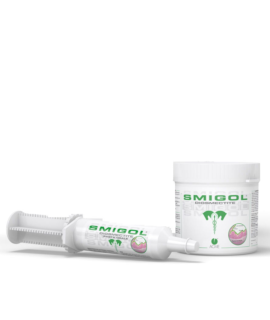 SMIGOL mangime complementare per cavalli a base di bentonite