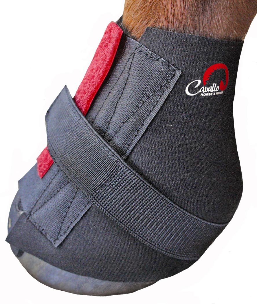 Calza in neoprene proteggi pastorali per Simple Boot