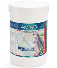 AMINOb mangime complementare in polvere per cavalli sportivi aminoacidi ramificati e proteine ad alta digeribilità 500g
