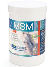 MSM mangime semplice in polvere per cavalli