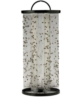 BITE FREE STABLE FLY TRAP Trappola insetti