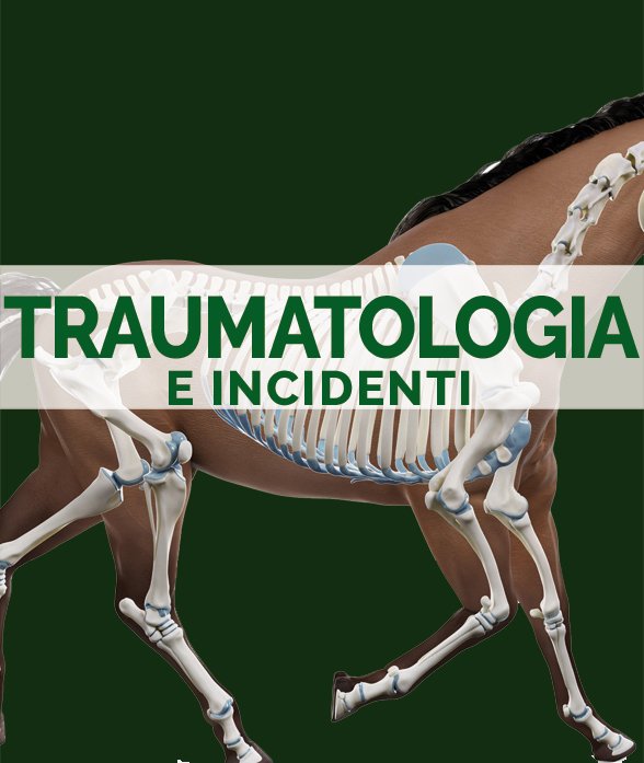 TRAUMATOLOGIA E INCIDENTI - Corso online Benessere del Cavallo