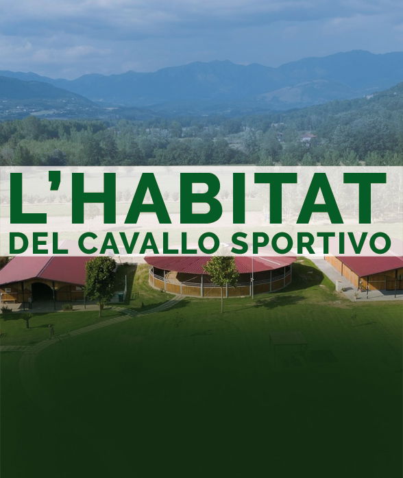 L'HABITAT DEL CAVALLO SPORTIVO - Corso online Benessere del Cavallo