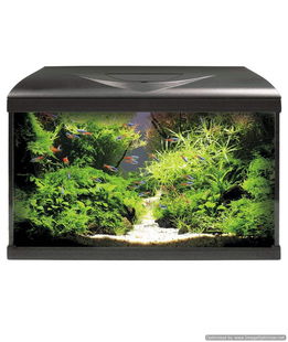 Acquario con illuminazione filtraggio Amtra System 60 Led nero 60x32x42 cm