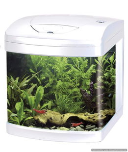 Acquario con vetro frontale curvo Xcube 26 Led Bianco 31x32x37h cm