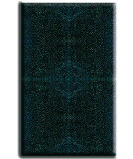 Cartuccia in spugna filtrante per filtro Niagara 370