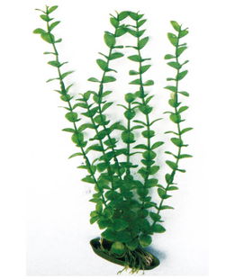 Decorazione piantina Rotala Amtra in plastica per acquari