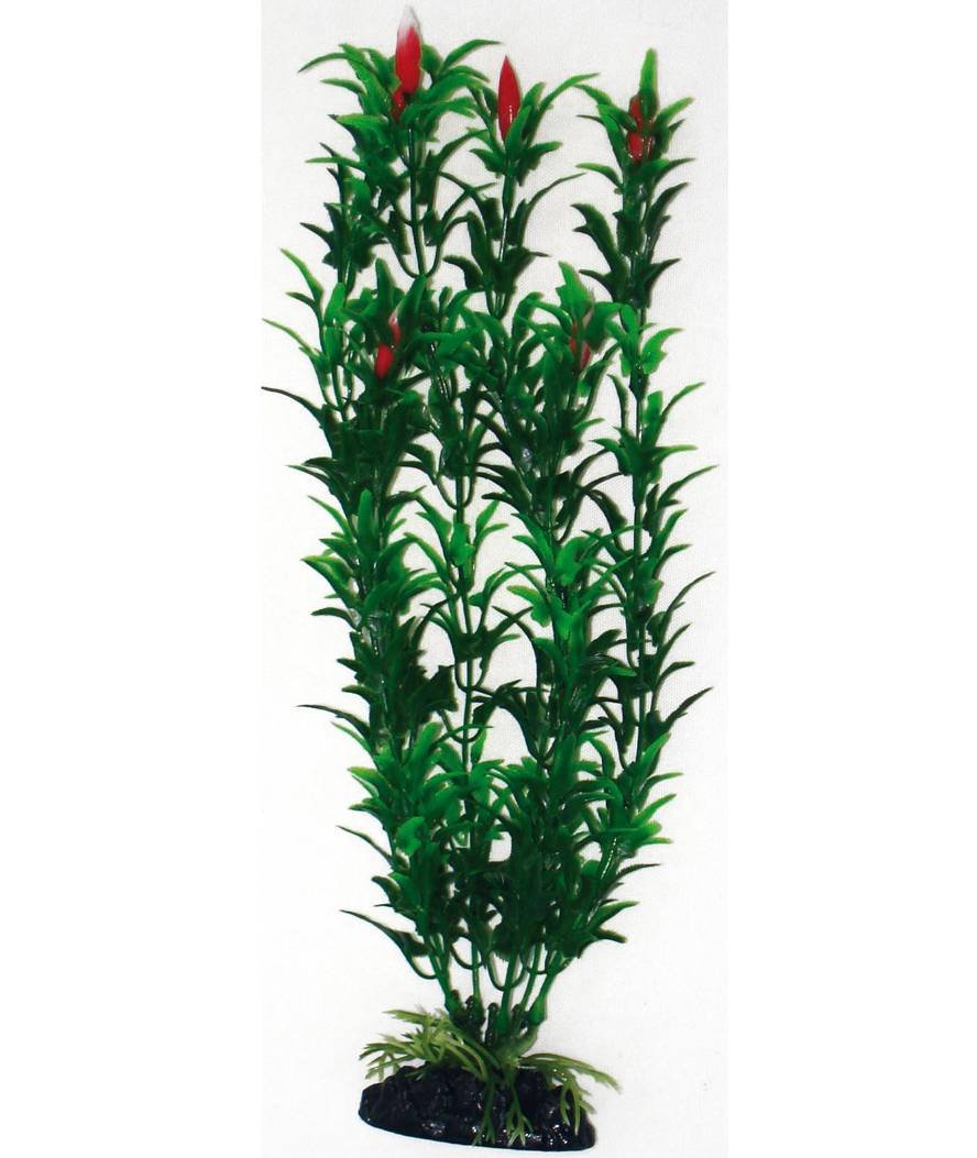 Pianta Egeria Flowers Bicolour Wave Classic MD decorazione per acquari Amtra