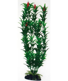 Decorazione piantina Egeria Flowers Bicolour Amtra in plastica per acquari