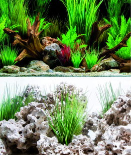 Sfondo doppio Amtra Wonder blister 30x60 cm
