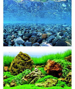 Doppio sfondo Amtra Vision blister 45x100 cm