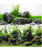 Sfondo doppio Amtra Amazonia blister 45x100 cm e Aquaview