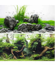 Sfondo doppio Amtra Amazonia blister 45x100 cm e Aquaview