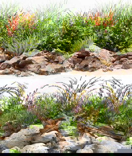 Sfondo doppio River blister 30x60cm