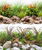 Sfondo doppio River blister 45x100 cm