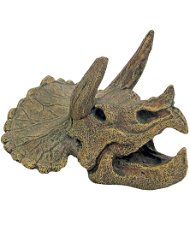 Teschio di Triceratopo 15x14x10,5 cm decorazione per acquario