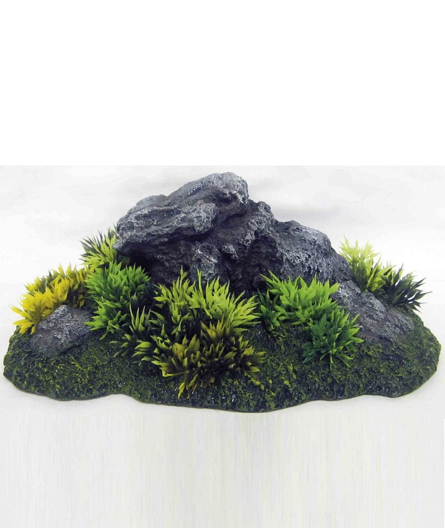 Giardino medio Amtra con rocce Japan 23,7x15,5x8 cm