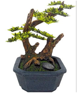 Japan Bonsai con vaso Amtra 15,5x12,5x2,5 cm decorazione per acquari