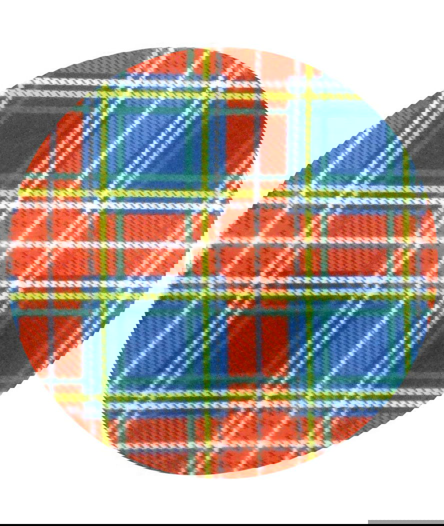 PROMOZIONE Coperta Tartan in pile per cani e gatti 100x70cm - foto 2