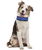 Collare in neoprene refrigerante Fresh per cani - foto 1