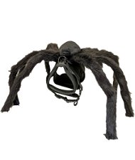 Pettorina Halloween ragno modello Fright Spider per cani