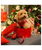 Pettorina di Natale modello Xmas Redmania Gold Dream per cani - foto 1