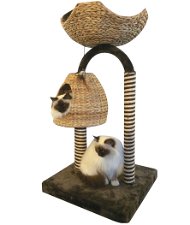 Tiragraffi modello Natural Azalea per gatti