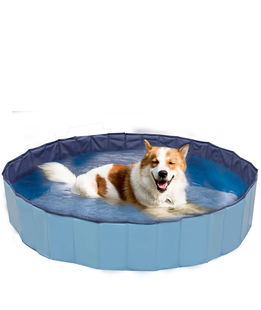 Piscina gioco modello Explorer per cani