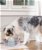 Fontana automatica PetSafe Drinkwell Sedona in ceramica 2lt per cani e gatti - foto 1