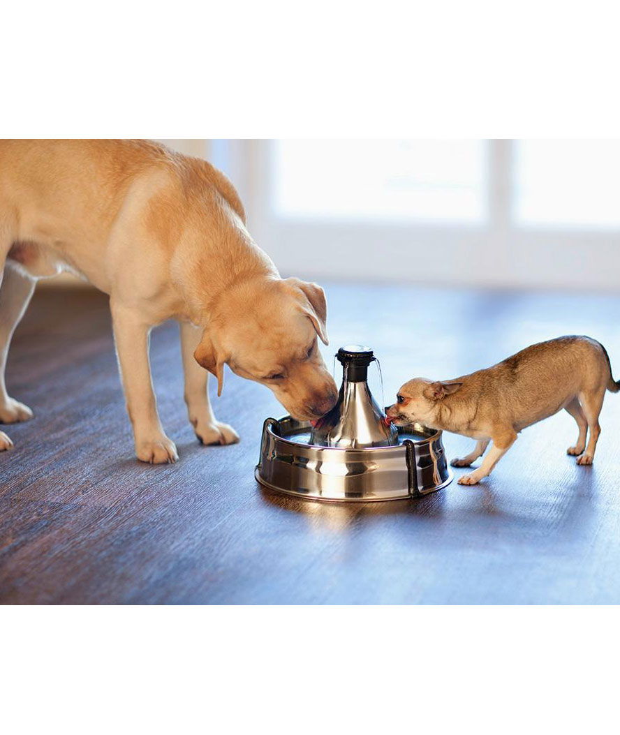 Fontana automatica PetSafe in acciaio inossidabile 360 Drinkwell per cani e gatti - foto 3