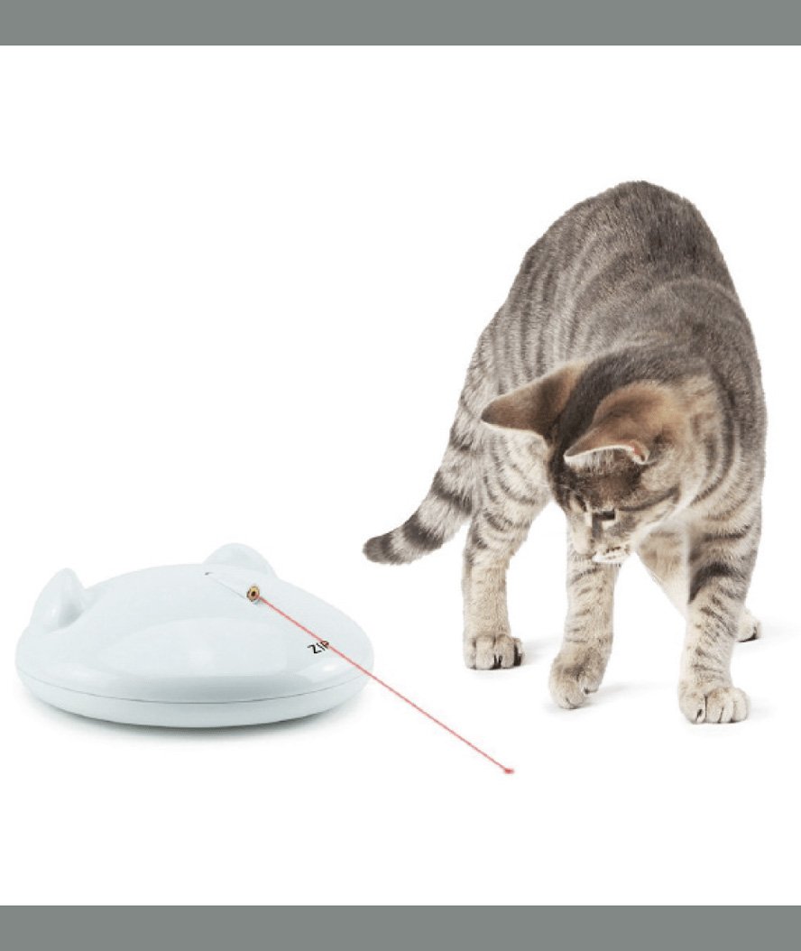 Gioco Zip con laser per gatti e cani - foto 1