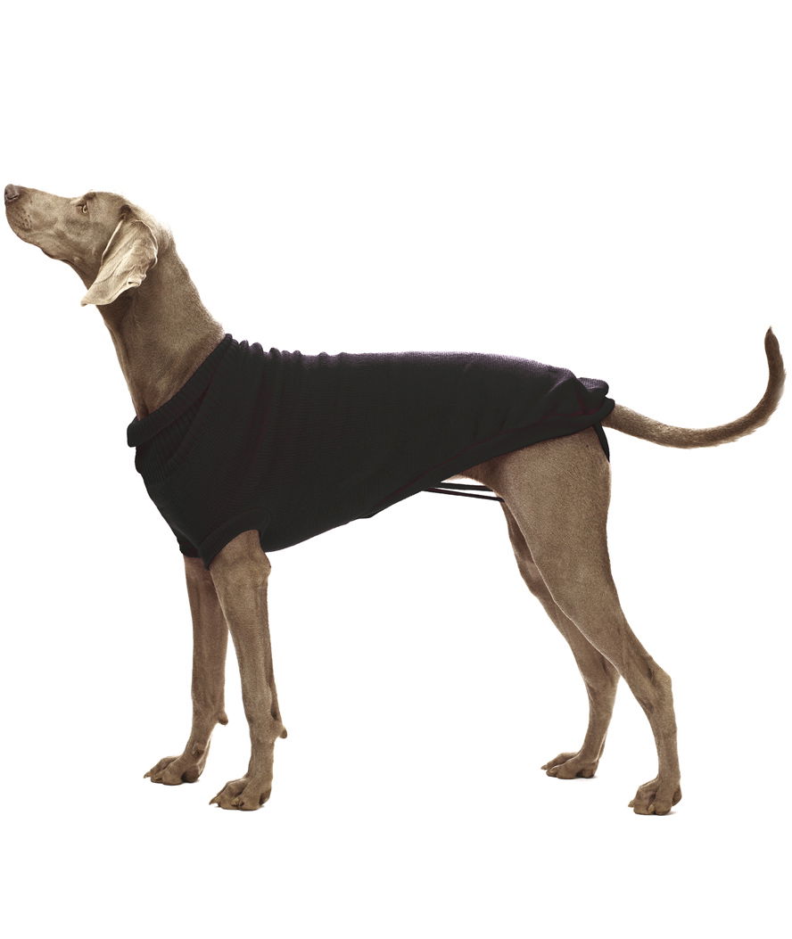 PROMOZIONE Maglioncino Stoccolma con foro per guinzaglio per cani 50 CM - foto 1