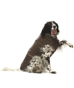 Cappotto impermeabile cani MONTREAL marrone
