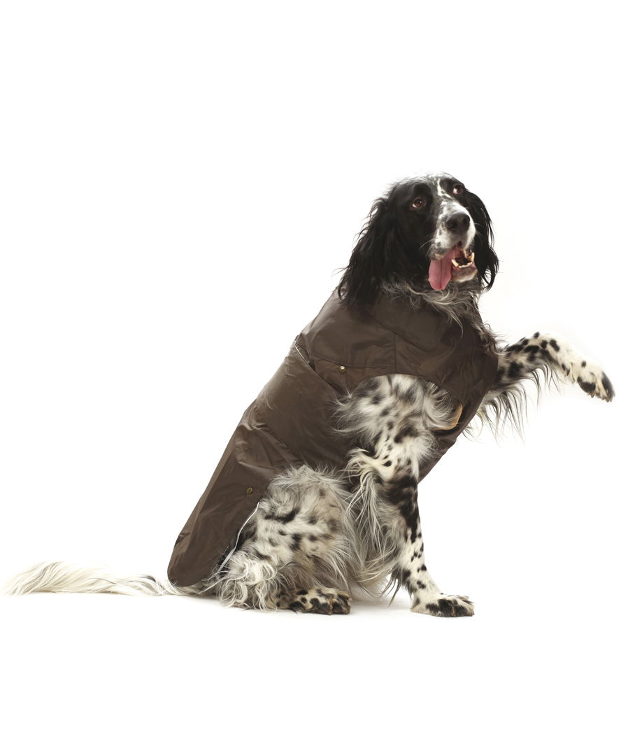 PROMOZIONE Cappotto impermeabile Montreal marrone foderato in pile rimovibile con foro per guinzaglio per cani 60 CM