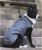 PROMOZIONE Cappotto impermeabile MONTREAL con fodera interna in pile rimovibile per cani  - foto 2