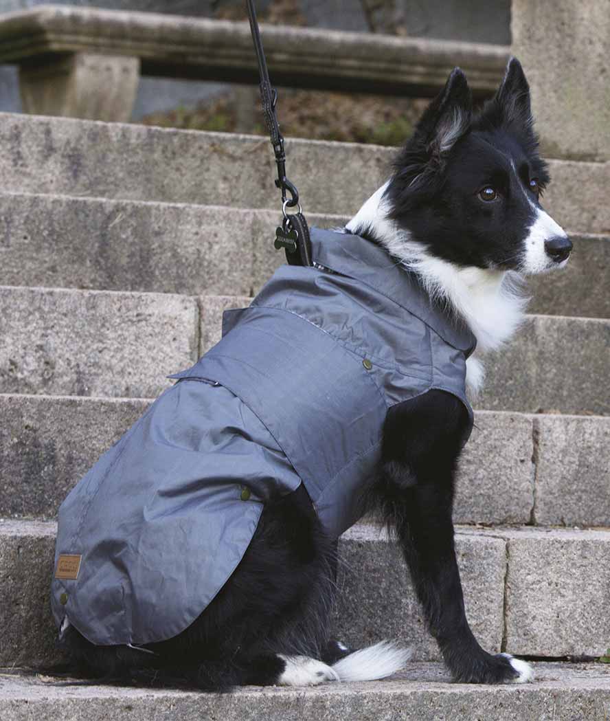 Cappotto impermeabile MONTREAL con fodera interna in pile rimovibile per cani  - foto 2