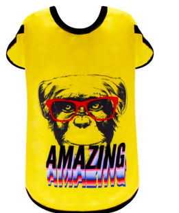 T-shirt modello Amazing per cani