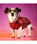 Cappottino impermeabile Statement con fodera in Pile per cani - foto 1