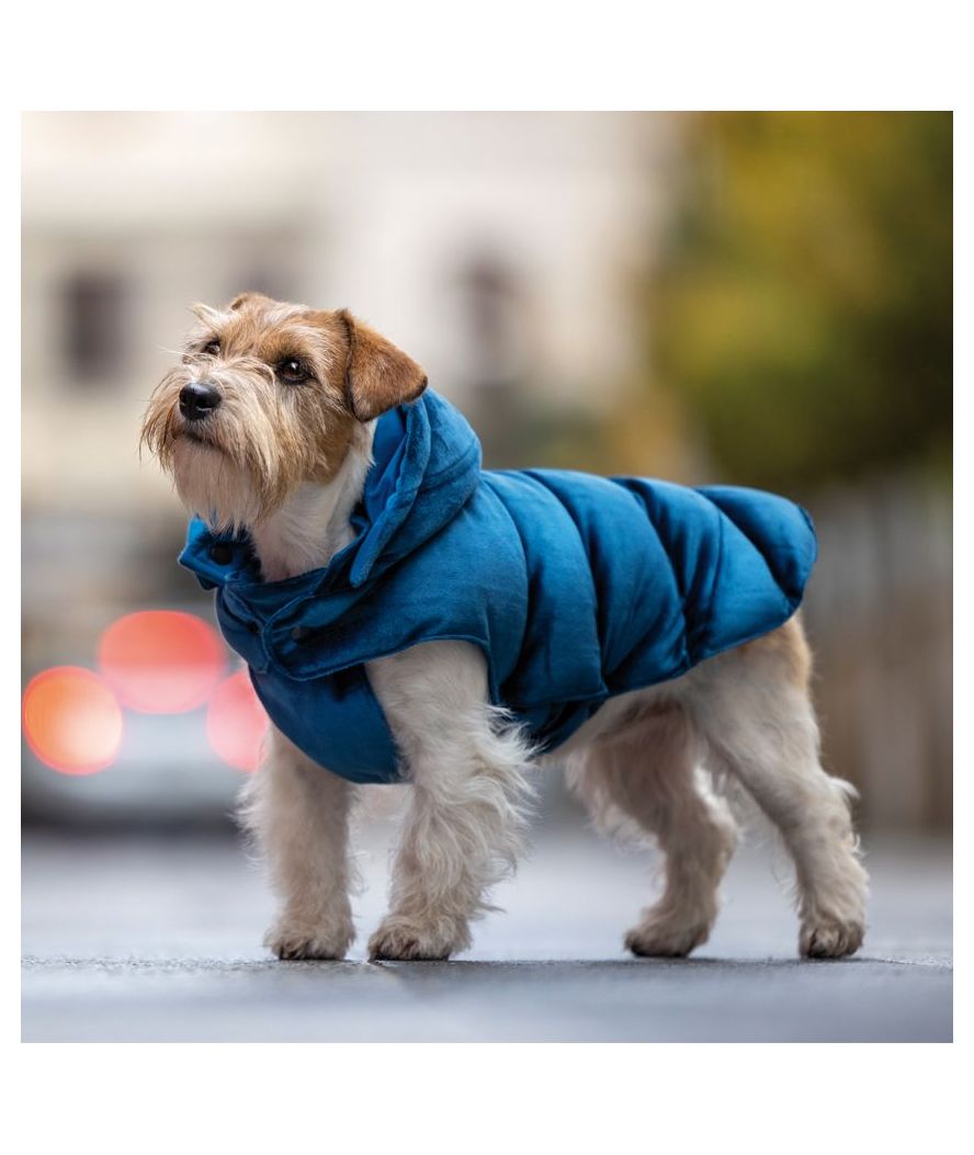 Giubbotto imbottito due in uno modello Velveteen con cappuccio per cani - foto 2