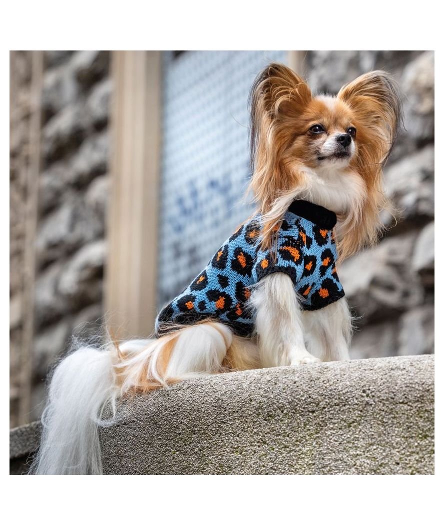 Maglioncino modello Cheetah Spot fantasia animalier azzurro per cani - foto 1