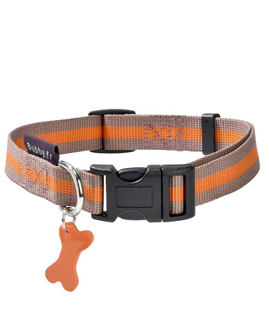 Collare in nylon bicolore talpa con ciondolo rimovibile modello Arlequin per cani