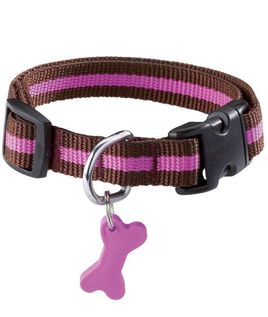 Collare in nylon bicolore marrone con ciondolo rimovibile modello Arlequin per cani