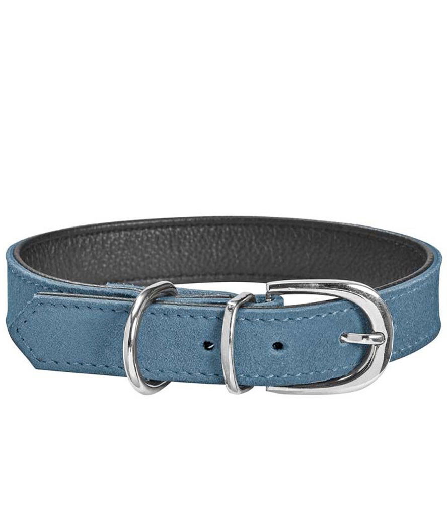 Collare in camoscio blu con fibbia regolabile modello Aspen per cani