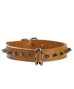 Collare in similpelle beige con borchiette metalliche Hercule Bobby per cani