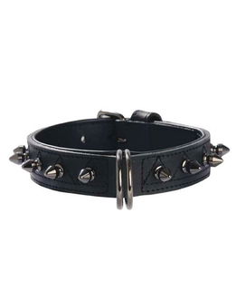 Collare in similpelle nero con borchiette metalliche Hercule Bobby per cani