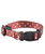 Collare in nylon rosso decorazioni a pois bianchi modello Pretty per cani