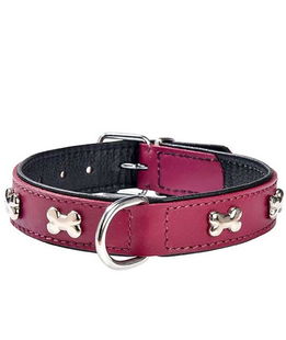 Collare in pelle fucsia con lucidi ossi nichelati modello Extra Souple per cani