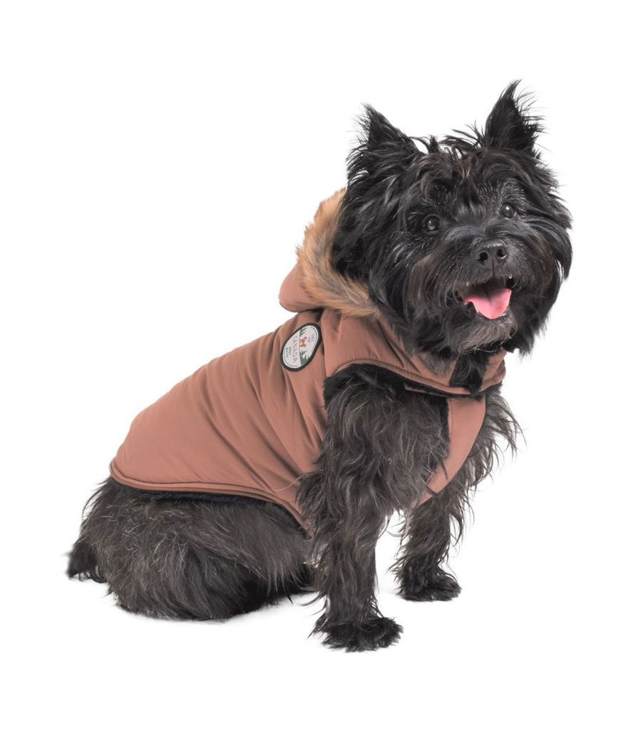 Giubbotto modello Canada imbottito con cappuccio rimovibile marrone per cani - foto 1