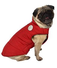 Giubbotto piumino modello Dog imbottito impermeabile rosso per cani