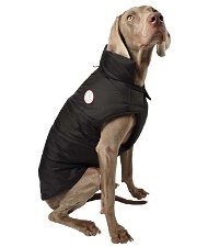 Giubbotto piumino modello Dog imbottito impermeabile nero per cani